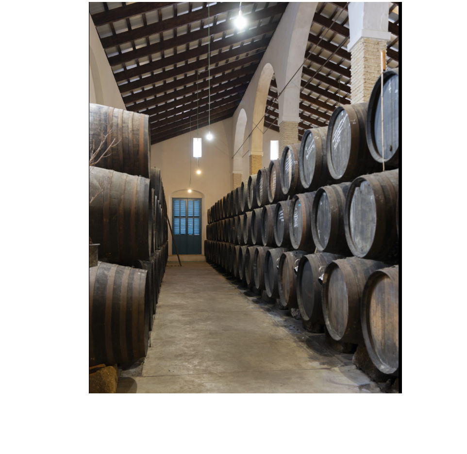 Bodegas Segun Cede