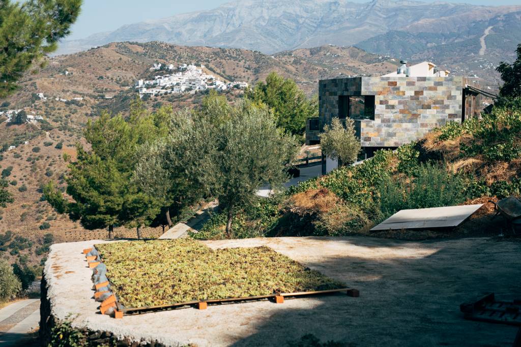 Bodegas Bentomiz