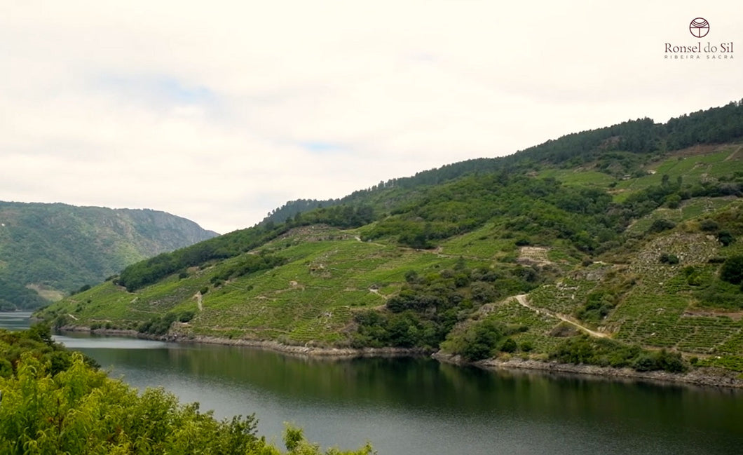 Bodegas Ronsel do Sil