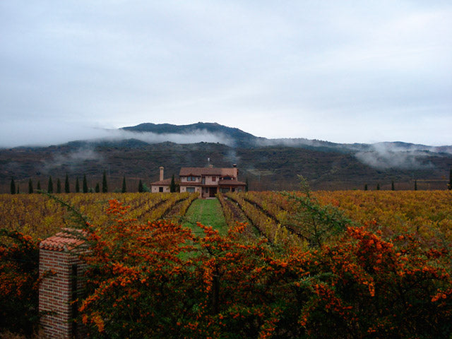 Bodegas Juan Carlos Sancha