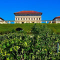 image of Bodega Rioja Vega