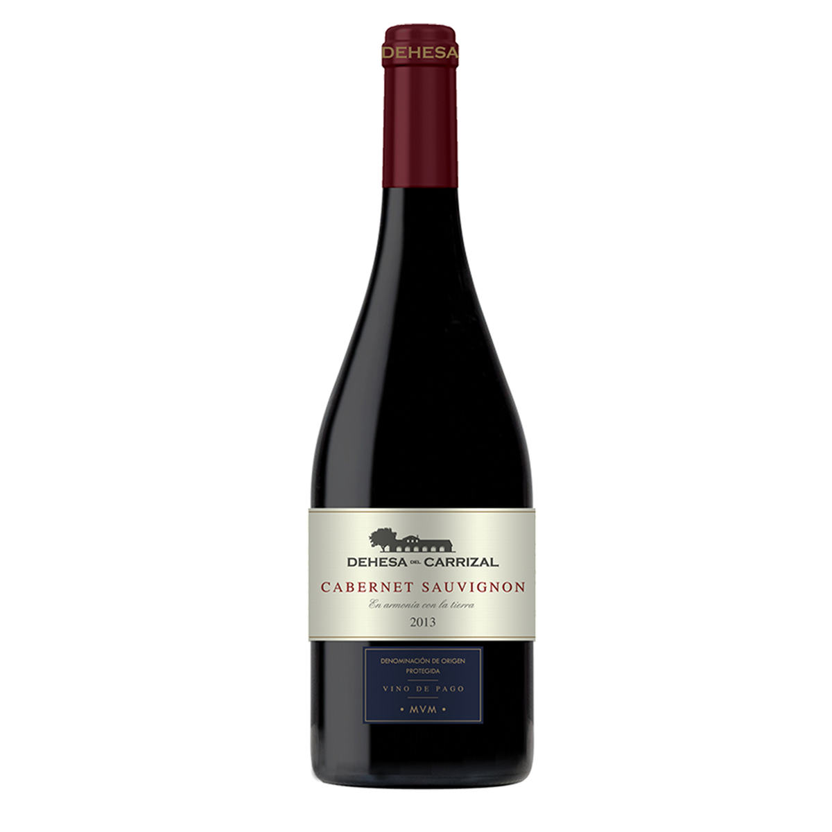 Dehesa del Carrizal Sauvignon 2021 Vino de Pago Xpertvinum