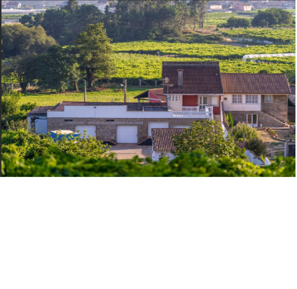 Bodegas Chaves