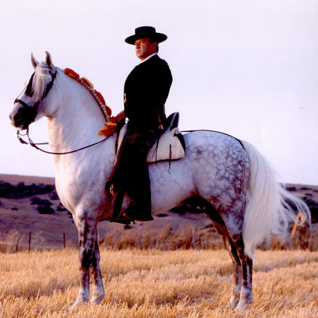 Man op paard, foto van wijnmaker Alvaro Domecq