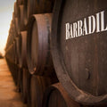 image of Barbadillo