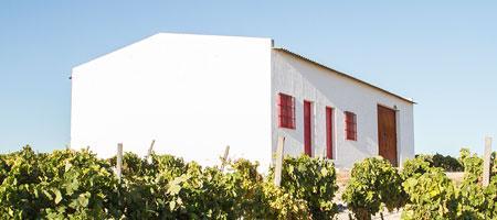 Huisje in wijngaard bij Bodegas Primitivo Collantes