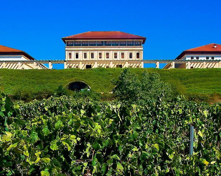 Bodegas Rioja Vega in Rioja