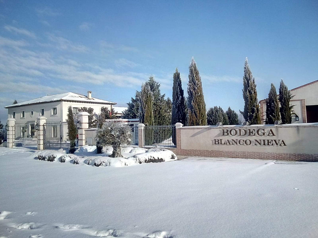 Viñedos de Nieva in Rueda in de sneeuw