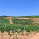 Afbeelding in Gallery-weergave laden, Meu Mencia 2024
