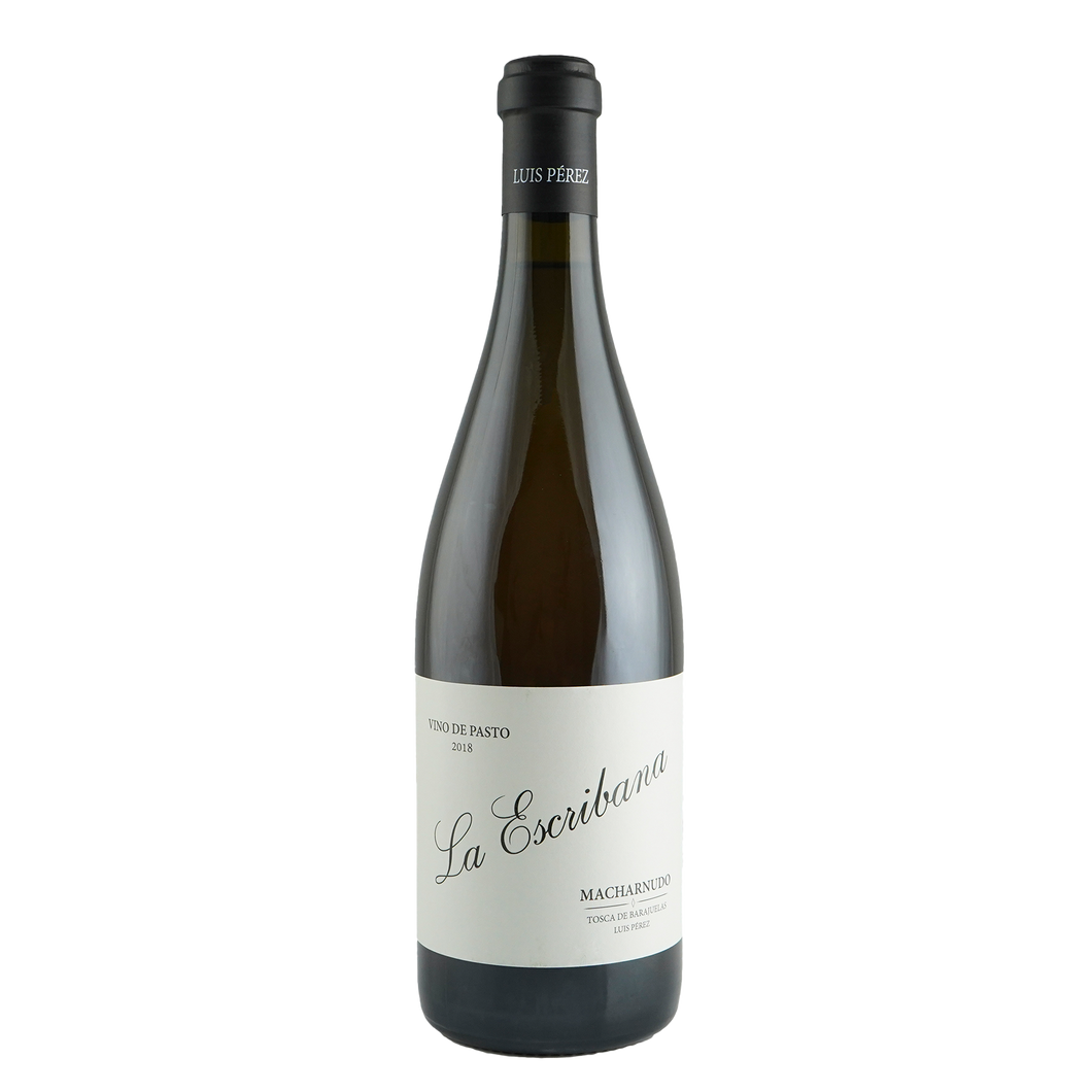La Escribana - Vino de Pasto 2020 | Witte wijn uit Càdiz, Spanje - palomino fino